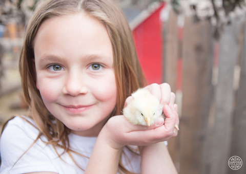 Little Buckaroo Petting Zoo - Petting zoo and rescue farm in West Jordan Utah 