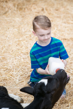 Little Buckaroo Petting Zoo - boy feeding an animal 