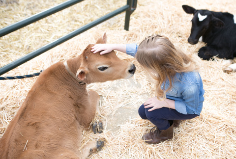 Little Buckaroo Petting Zoo - utah petting zoos 