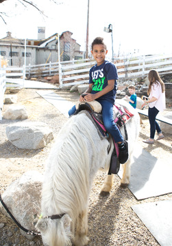 Little Buckaroo Petting Zoo - Horseback riding in Utah 