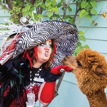 Gardner Village Witches - Brazzilla the Wtich kissing an alpaca  