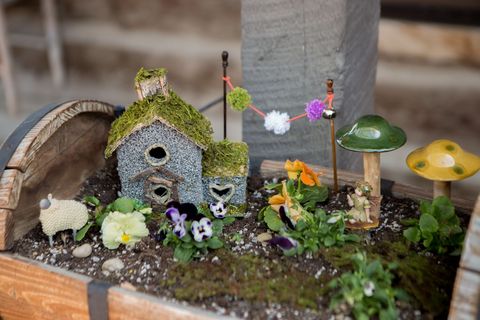 Woodland Fairy Festival - fairy gardens near me 
