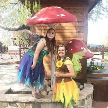 Woodland Fairy Festival - Woodland fairies  