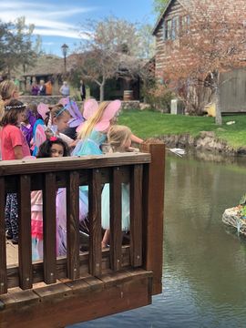 Woodland Fairy Festival  - girls fairy costumes 