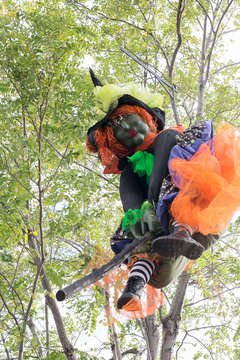 WitchFest displays - Witch displays 