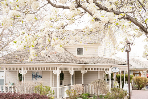 Gardner Village During Spring - tree blooms along the path at gardner village 