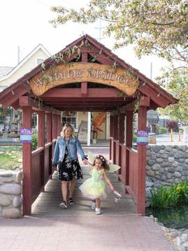 Woodland Fairy Festival - wishing bridge at woodland fairies 