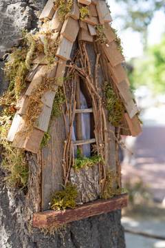 Woodland Fairy Festival - fairy displays on tree 