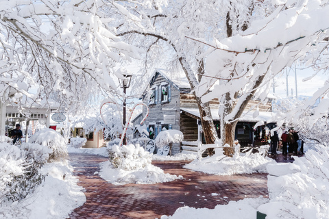 Christmas at Gardner Village - main path dressed in fresh snow at christmas 