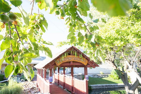 Woodland Fairy Festival - wishing bridge at woodland fairy festival 
