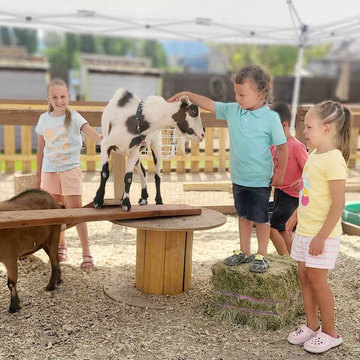 Little Buckaroo Petting Zoo - kids petting a goat 