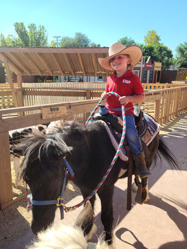 Little Buckaroo Petting Zoo - kid on a pony 