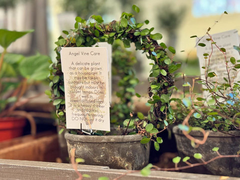  Simply Flowers at Gardner Village