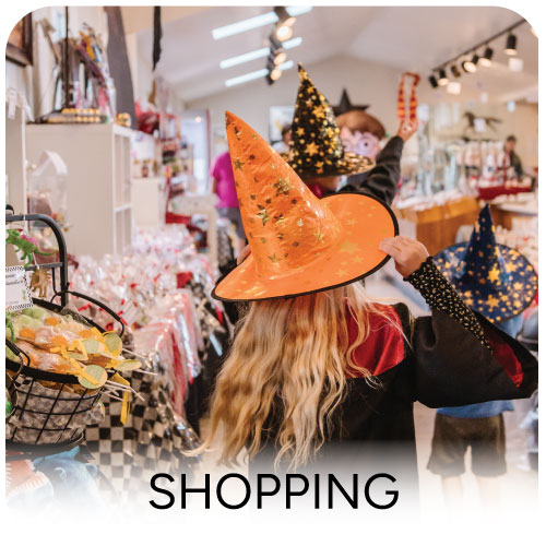Make a Day shopping