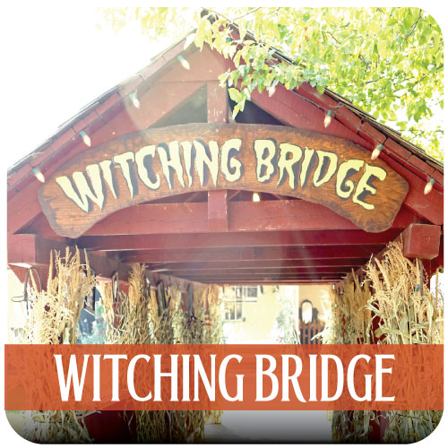 WF witching bridge WF witching bridge