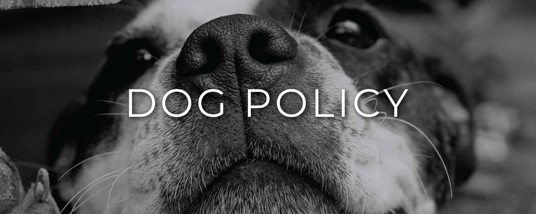 gardner village dog policy