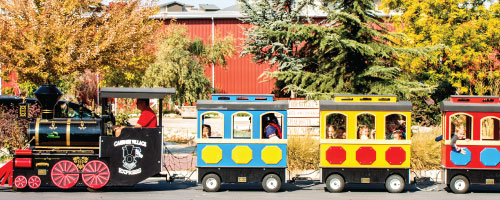 BIRTHDAY PARTIES <BR>THE TRAIN SHOPPE