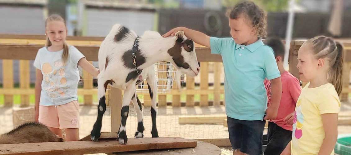 little buckaroo petting zoo at ricochet canyon