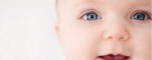 GIFT CERTIFICATE SALE <BR>SPOILED ROTTEN 