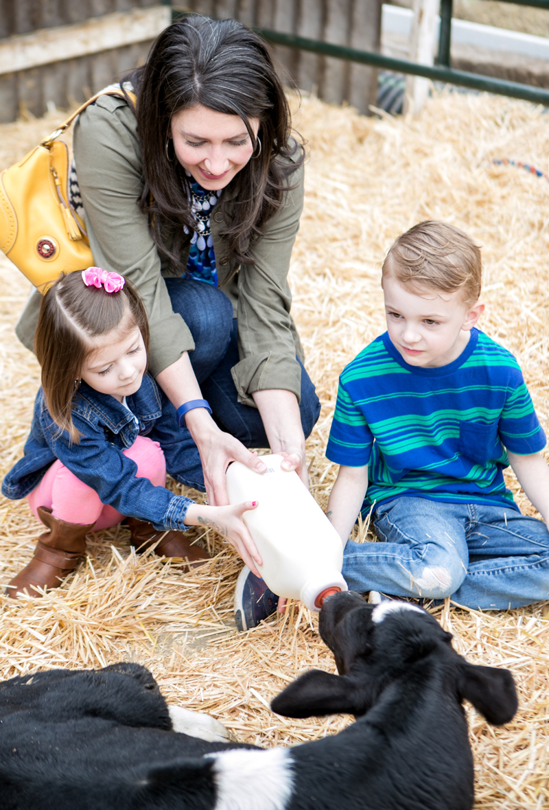 utah charities