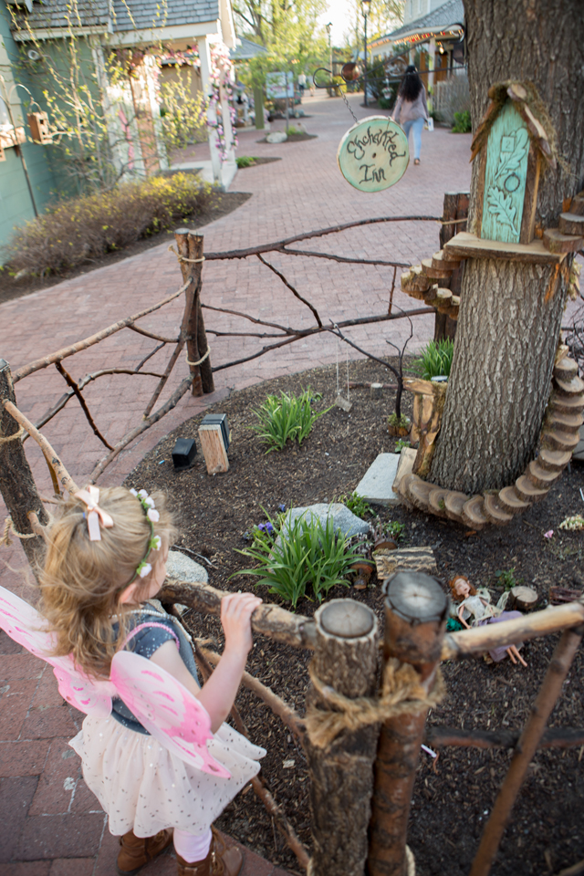 garden in a tree