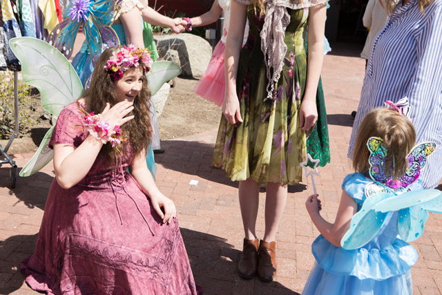 meet the fairies