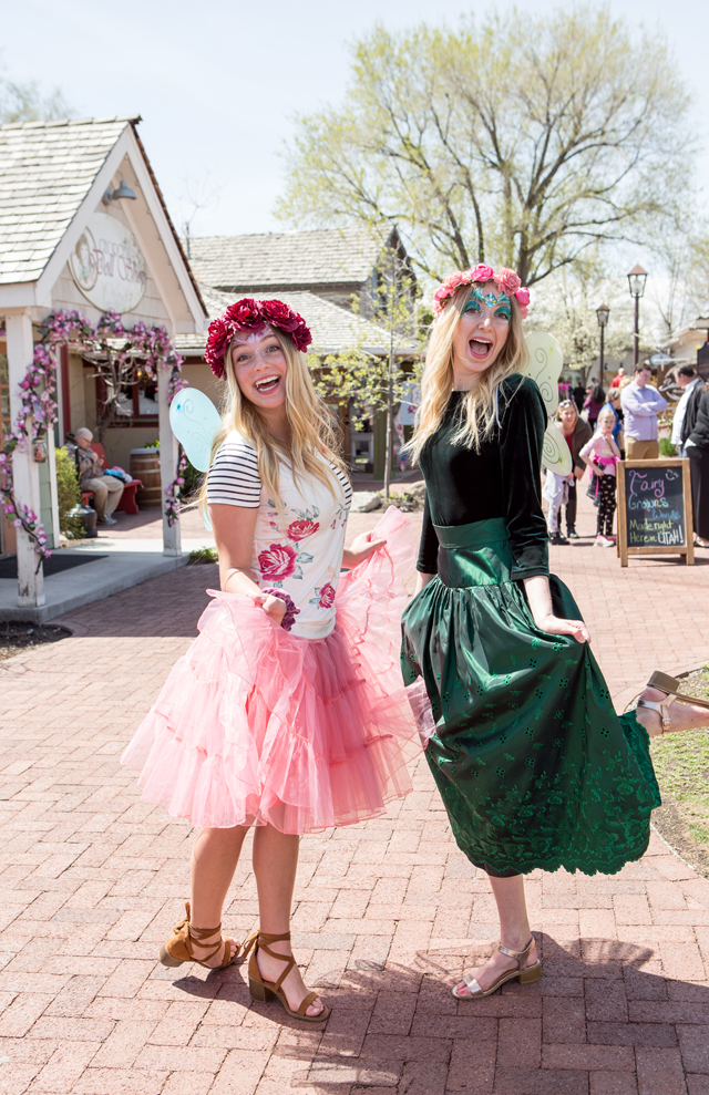 meet the fairies