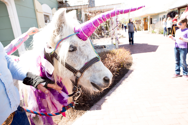 a real unicorn