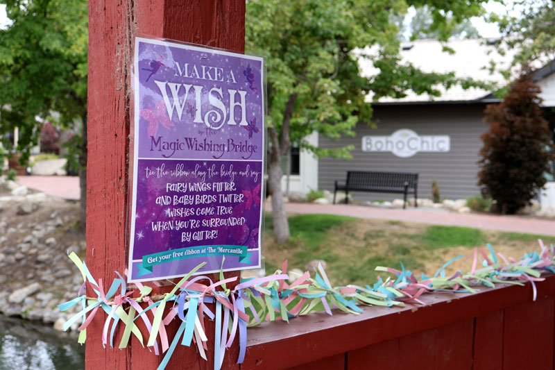 fairy wishes
