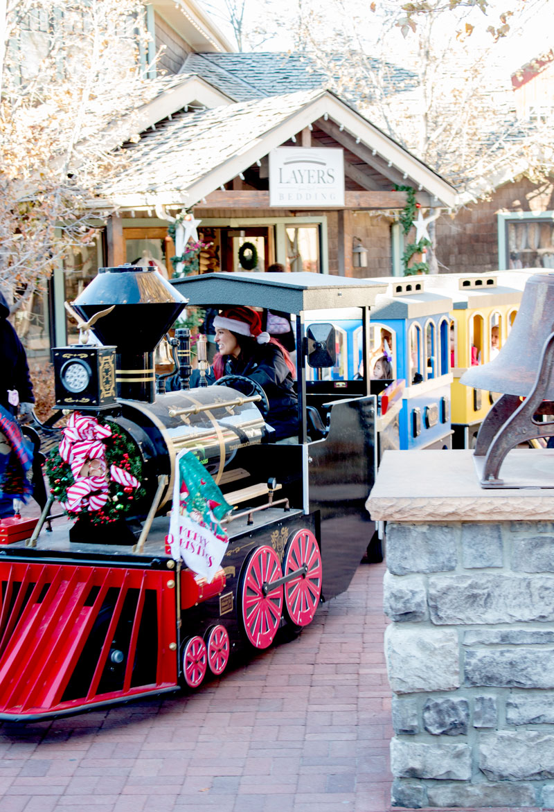The Train Shoppe