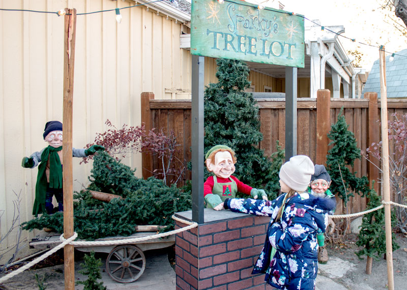 Sparky's tree lot