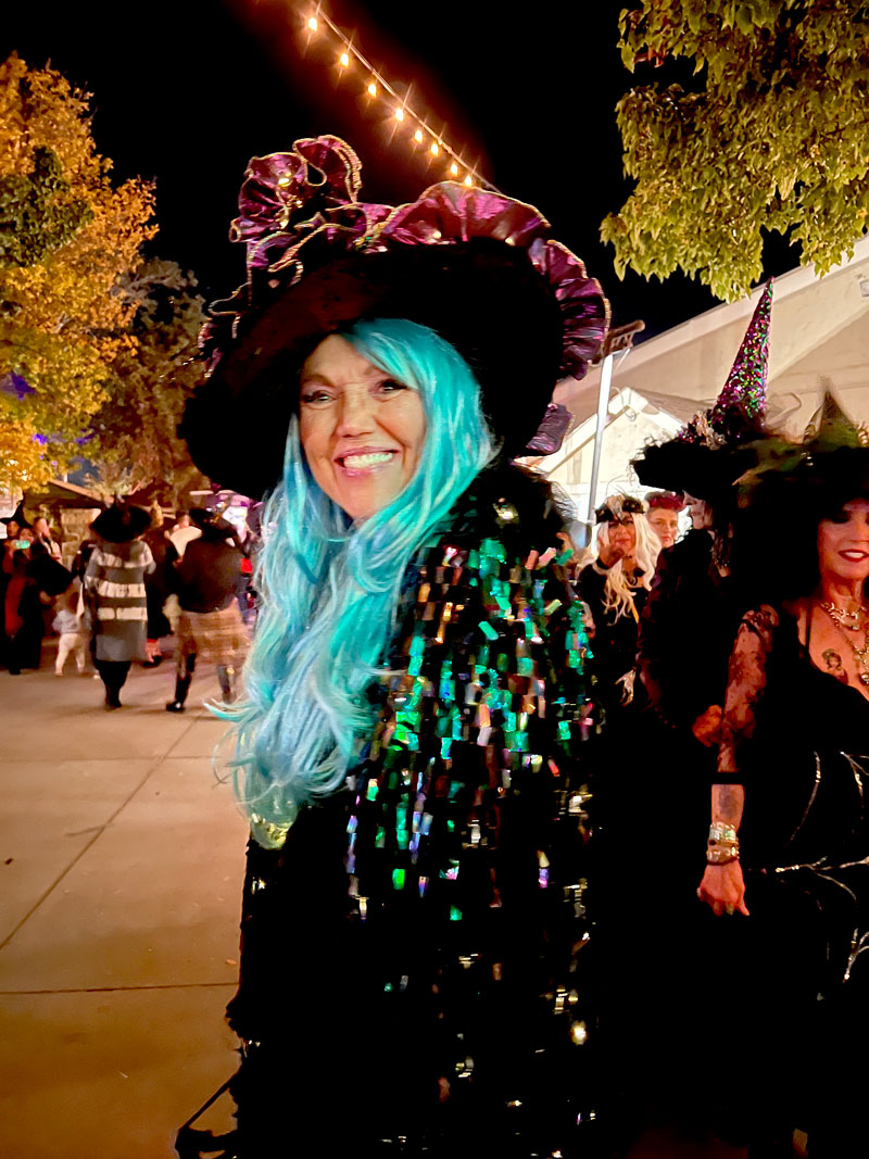 witch wigs