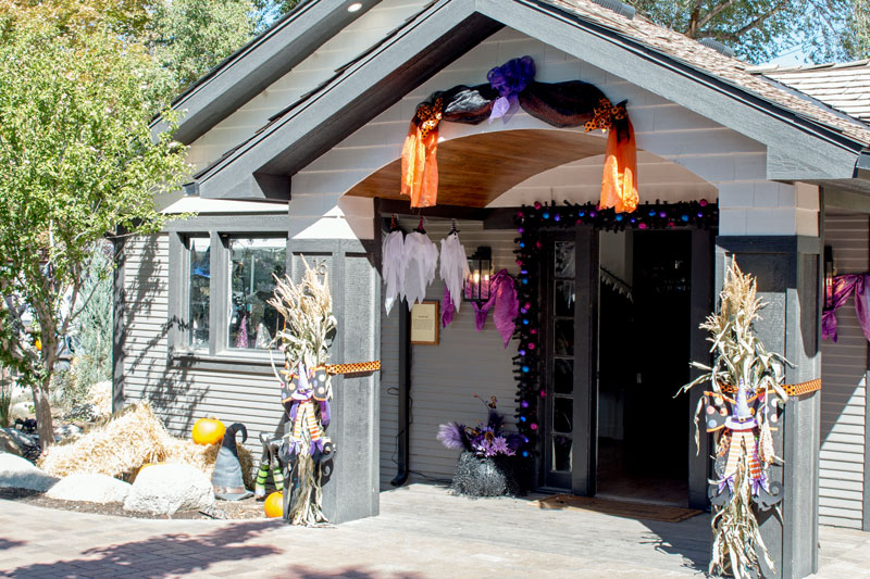 BohoChic Boutique