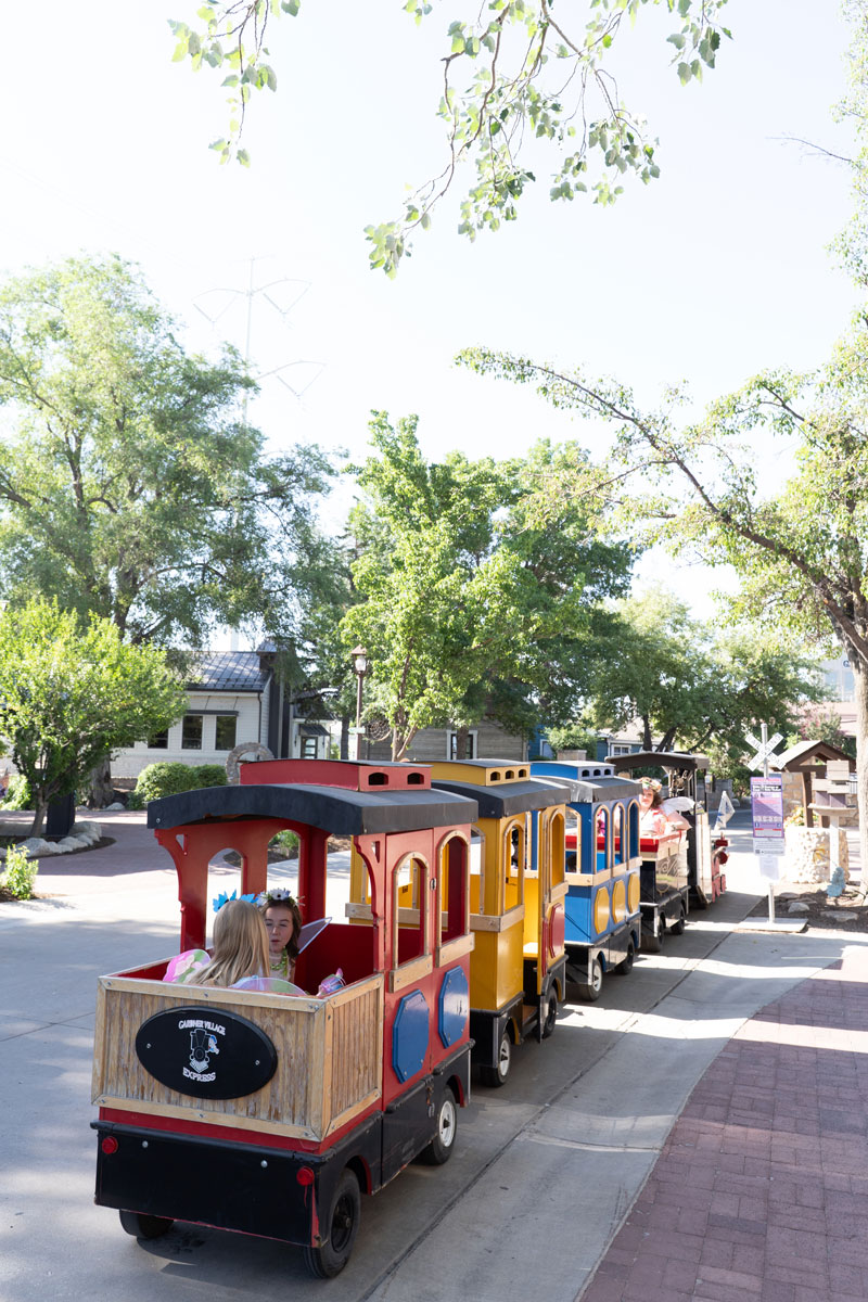 The Train Shoppe