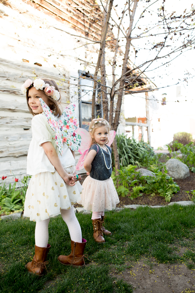 utah photo backdrop