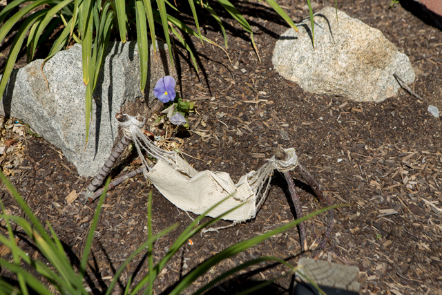 fairy hammock