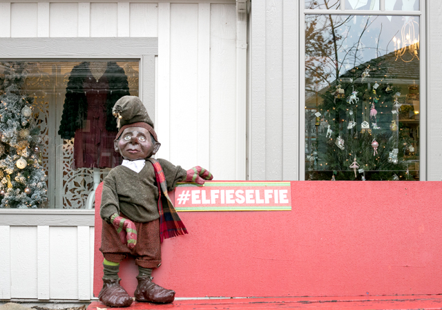 #elfieselfie