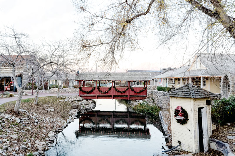 winter wonderland