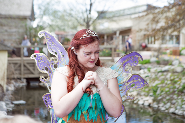 fairy wishes