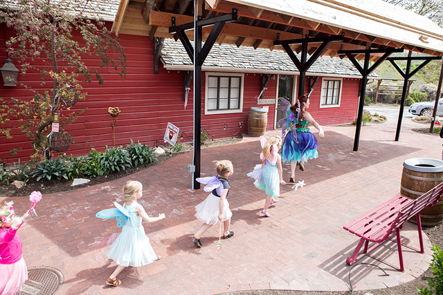outdoor family fun