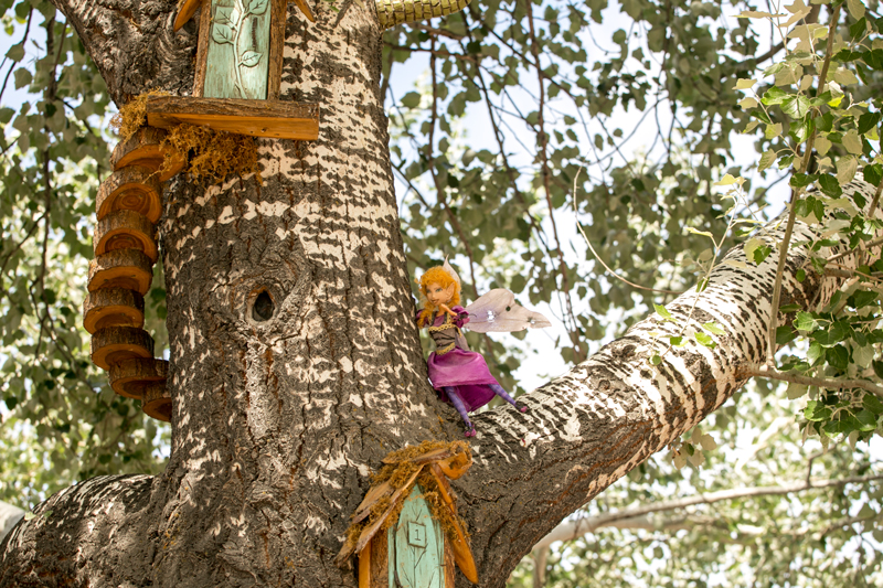 fairy hotel