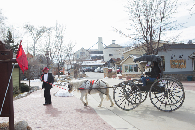 carriage rides