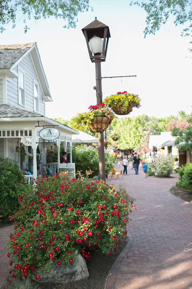 planting planters