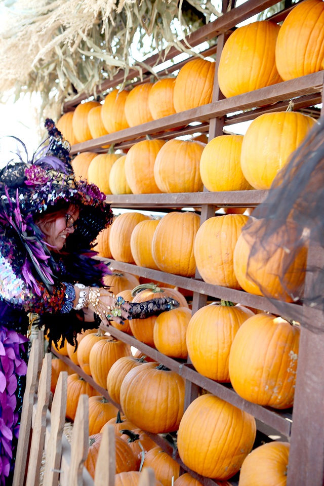 pumpkin decorating