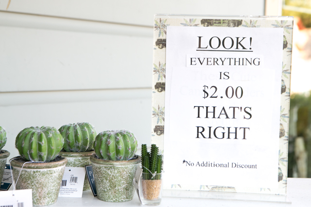 teacher gift succulents