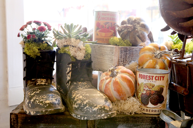 succulents and fall flowers