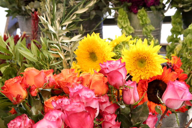 bright fall flowers