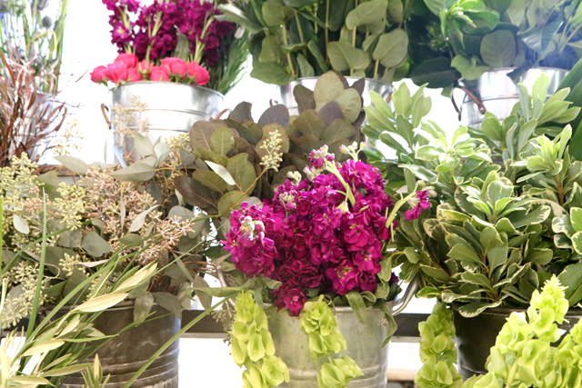 fresh cut flowers 