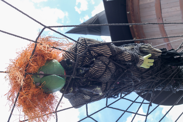witch web