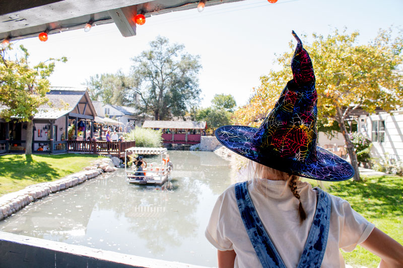 free witch displays